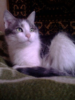 IMG0064A.jpg