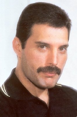 Freddie_3.jpg